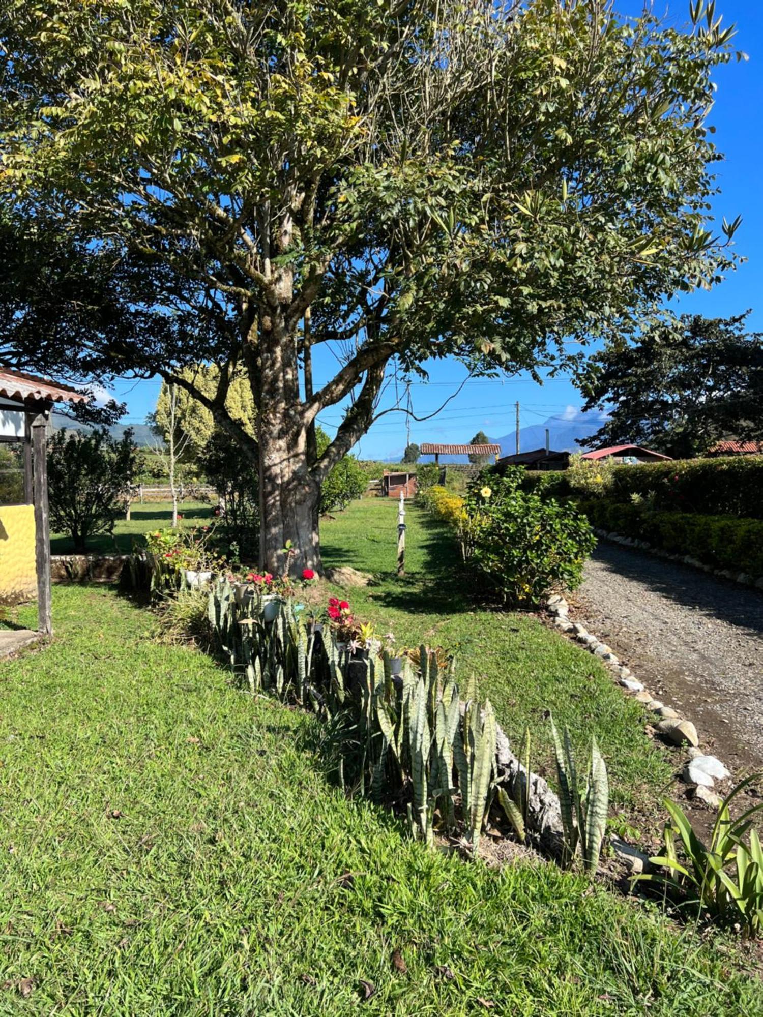 Finca Hotel Paraiso Urrao Εξωτερικό φωτογραφία