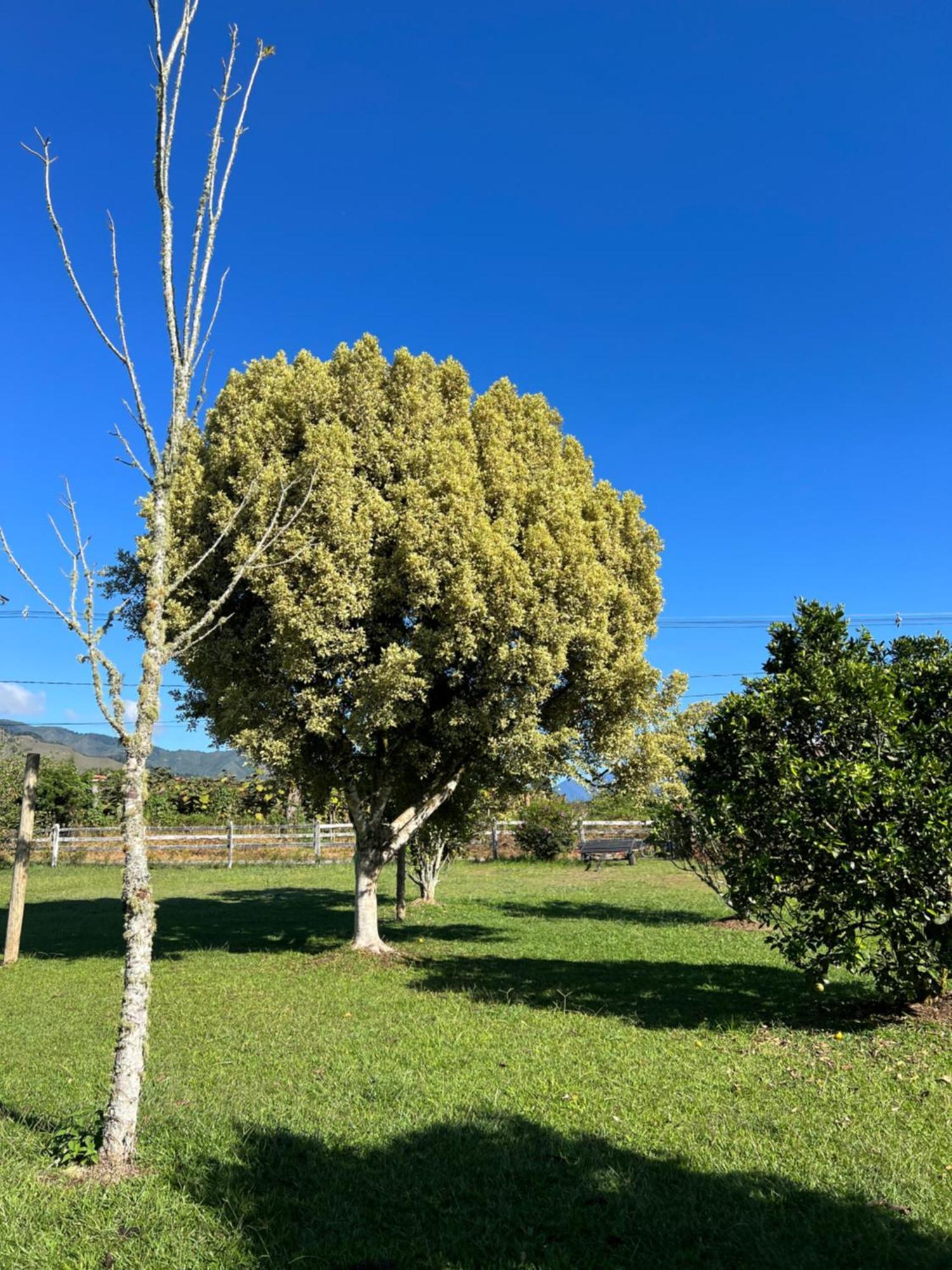Finca Hotel Paraiso Urrao Εξωτερικό φωτογραφία